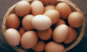انڈے ہماری صحت کیلئے مضر ہیں یا مفید؟ کتنی مقدار کھانی چاہئیے؟