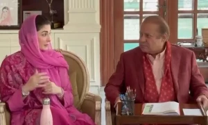 آئی ایم ایف نے پاکستان کی ترقی کا اعتراف کیا، شہباز شریف کی محنت رنگ لارہی ہے: نواز شریف
