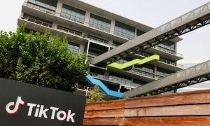 TikTok returns to the US app