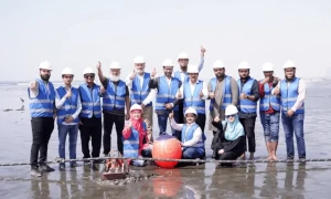 PTCL brings Africa-1 submarine cable to Pakistan