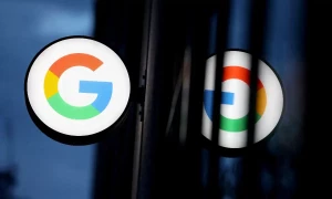 Google unveils new AI technology for wildlife identification