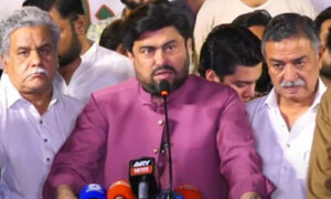 دہشت گرد پاکستان کو اپنے پیروں پر کھڑا نہیں ہونے دینا چاہتے، گورنر سندھ