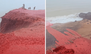 ایران کا ساحل خون میں تبدیل؟ سیاح خوفزدہ ہوگئے