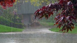 عید سے قبل بارشوں کے نئے سلسلے کا امکان، بادل کن علاقوں میں برسیں گے؟