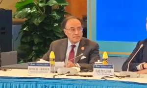 پاکستان منصفانہ تجارت، پائیدار ترقی، اور منصفانہ مالیاتی نظام کو فروغ دینے والی عالمگیریت کا ماڈل چاہتا ہے، وزیرخزانہ