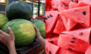 دھوکہ نہ کھائیں، ان آسان طریقوں سے اصل تربوز کی پہچان کریں