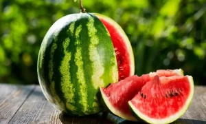 بنا محنت وزن گھٹانا ہے؟ تربوز کے شربت میں یہ ایک چیز شامل کرلیں