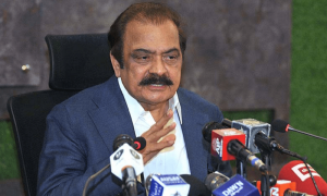 ہم آزادی صحافت پرصرف یقین نہیں ایمان رکھتے ہیں، رانا ثناءاللہ