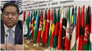 At the behest of Pakistan: India dismisses OIC statement as &lsquo;absurd and misguided&rsquo;