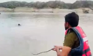 کوہاٹ: دریائے سندھ میں کشتی ڈوب گئی، 7 افراد کو بچا لیا گیا، 2 کی تلاش جاری