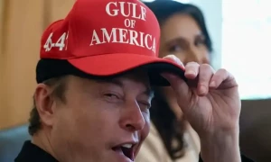 Musk&rsquo;s most memorable moments as Trump&rsquo;s advisor