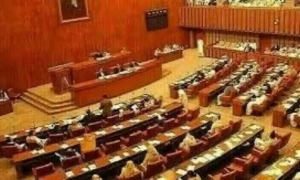 قومی اسمبلی کی قائمہ کمیٹی کا اجلاس: پی آئی اے اور اسلام آباد پولیس کے رویے پر شدید برہمی اظہار