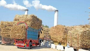 اربوں روپے کے ٹیکس چوری میں ملوث شوگر ملز کی فہرست سامنے آگئی