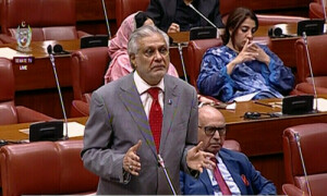 اسرائیلی جارحیت سے خطے میں کشیدگی بڑھتی جارہی ہے، اس کے سنگین نتائج مرتب ہوں گے، اسحاق ڈار