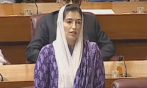 بلاول بھٹو نے مشکل وقت میں پاکستان کی مؤثر نمائندگی کی، آصفہ بھٹو