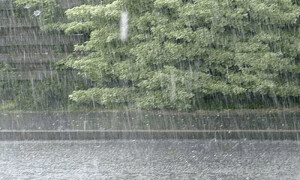 Pre-monsoon rainfall expected to continue until June 23