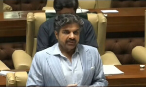 بجٹ میں کم گریڈ والے ملازمین کی تنخواہوں میں اضافہ کیا ہے، ناصر شاہ