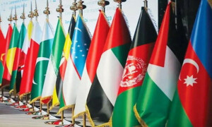 او آئی سی کا اسرائیلی جارحیت پر سخت ردعمل، عالمی احتساب کا مطالبہ
