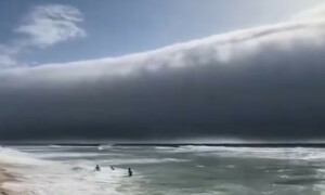 سونامی یا کچھ اور۔۔۔؟ ساحل سمندر کی حقیقی ویڈیو نے لوگوں میں خوف پیدا کردیا