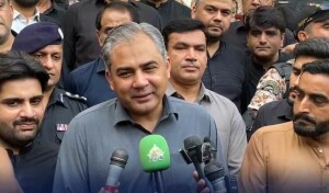 وزیر داخلہ محسن نقوی نے صدر آصف زرداری کو ہٹانے سے متعلق سوال کا جواب دے دیا