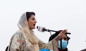 Punjab CM offers Rs500,000 aid to lion attack victims in Lahore