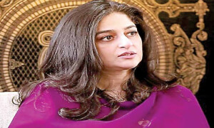 نادیہ جمیل کی &rsquo;بیوی کو شوہر کی ماں بننے سے&lsquo; متعلق بیان پر وضاحت