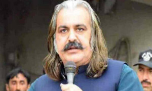 پنجاب حکومت جلسے کی اجازت دے، شکریہ کے ساتھ تحفہ بھی ملے گا، علی امین گنڈا پور