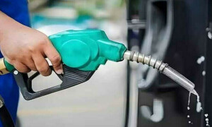 Anticipated rise in petroleum prices over the next two weeks