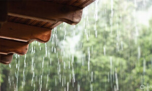 بارشوں میں نمی سے نجات، اپنے گھر کو خشک رکھنے کے 14سادہ اور مؤثر حل