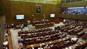 سینیٹ میں پاکستان شہریت، حوالگی ملزمان اور فوجداری قوانین سے متعلق بلز منظور