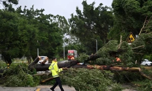 Storms hit southern China mainland in wake of Typhoon Wipha