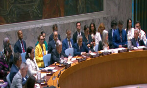 UN Council adopts Pak-sponsored resolution on dispute settlement