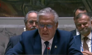 سلامتی کونسل نے پاکستان کی عالمی تنازعات کے پرامن حل سے متعلق قرارداد منظور کر لی