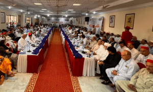 ANP-led APC rejects federal constabulary law