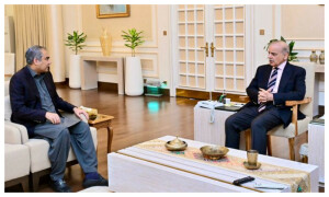 Interior minister calls on PM; briefs over Zaireen’s new policy