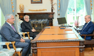 PM appoints Lt Gen (R) Mohammad Saeed as WAPDA chairman