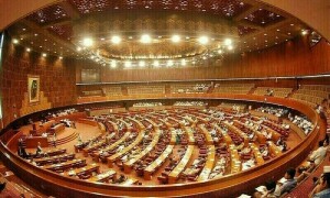 خواتین کو برہنہ کرنے اور کپڑے پھاڑنے کی سزا عمر قید میں تبدیل کرنے کا قانون منظور
