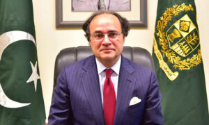 Aurangzeb praises Sindh’s Public Private Partnership model