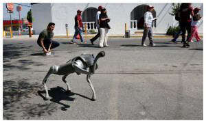 Robot dog in Mexico teaches animal kindness on streets