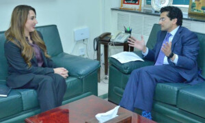 Pakistan, US discuss enhanced cooperation in energy sector