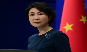 Sino-Pak high-level exchanges distinctive feature of bilateral ties: Mao Ning