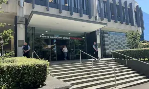 New Zealand Central Bank observes slower response to interest rate reduction