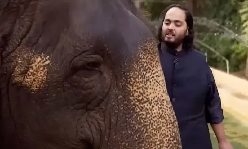 Ambani son’s wildlife centre faces probe into allegations of animal mistreatment