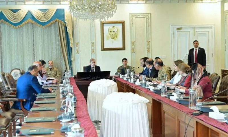 PM Shehbaz orders immediate measures to address Punjab floods