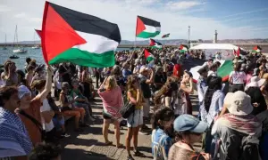 Germany calls for immediate humanitarian action in Gaza amid crisis