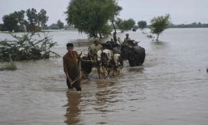 Punjab braces for high-level flood after India’s water release