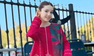 ثناء یوسف کے بعد ایک اور انفلوئنسر کو بھی دھمکی کا سامنا
