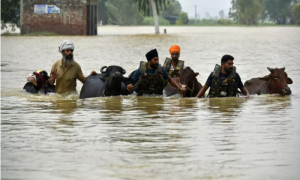 Villages marooned after deadly floods in India’s Punjab