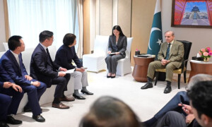 PM meets top Chinese business executives to boost B2B investment cooperation