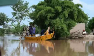Flood emergency declared as Sutlej River reaches critical levels